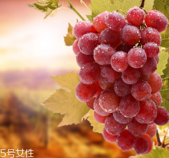 葡萄籽會影響睡眠嗎？這個肯定不會