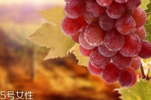 葡萄籽會(huì)便秘嗎？葡萄籽能緩解便秘