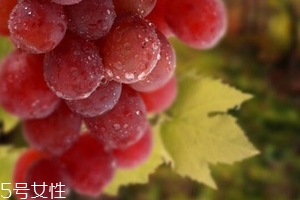 葡萄籽泡水喝有作用嗎？美容保健