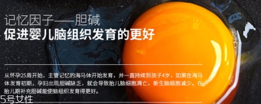 黃金素和dha可以一起吃嗎？