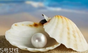 南洋珍珠是海水珍珠嗎？