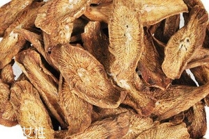 牛蒡茶是什么做的？牛蒡茶是樹根嗎？