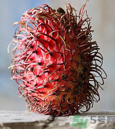 紅毛丹的核能吃嗎？紅毛丹的核可以吃嗎？