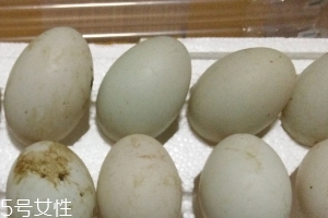 鴨蛋是酸性還是堿性？鴨蛋的性質(zhì)