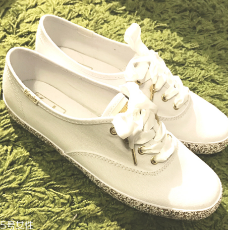 keds小白鞋多少錢？keds帆布鞋正品價位