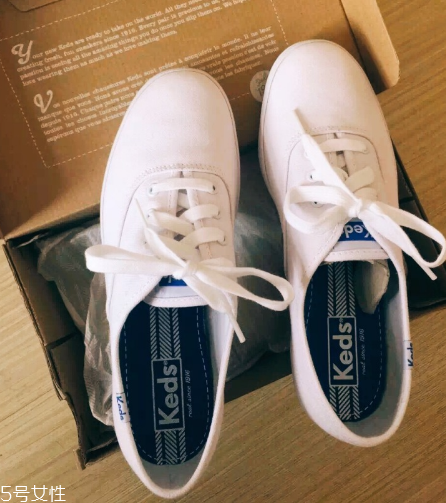 keds小白鞋多少錢？keds帆布鞋正品價位