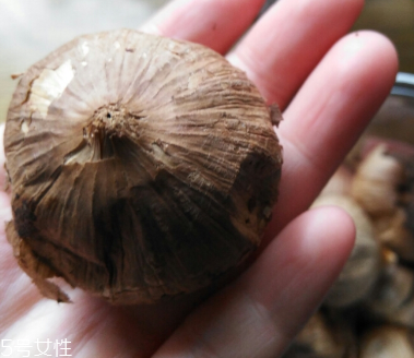黑蒜的價(jià)格多少錢一斤？黑蒜很貴嗎？