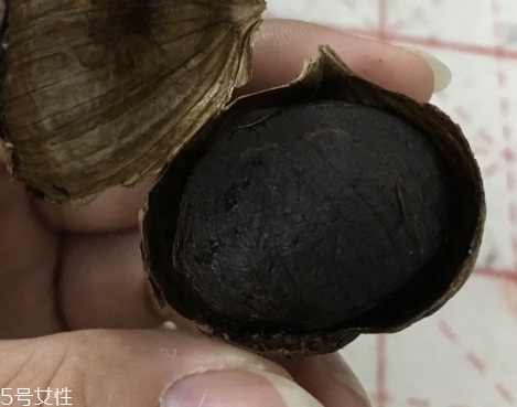 黑蒜是種植出來的嗎？黑蒜怎么來的