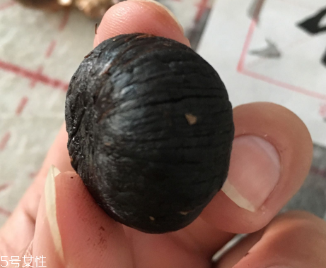 黑蒜是種植出來的嗎？黑蒜怎么來的