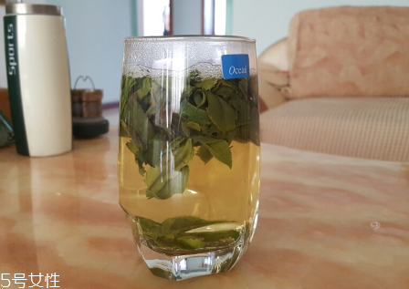六安瓜片是什么茶？六安瓜片好喝嗎？