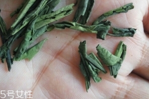 六安瓜片是紅茶還是綠茶？