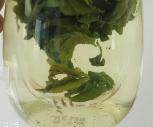 六安瓜片是紅茶還是綠茶？