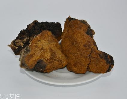 樺樹(shù)茸怎么泡水喝？樺樹(shù)茸泡水喝法