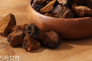 樺樹茸是樹黃嗎？樺樹茸屬于什么