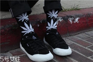 楓葉襪子是什么牌子？楓葉襪子品牌介紹