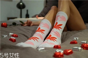 楓葉襪子正品多少錢(qián)？楓葉襪子價(jià)格詳情
