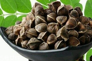 辣木籽哪里產(chǎn)的好？哪里的辣木籽最好？