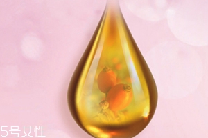 玫瑰果油可以天天用嗎？玫瑰果油多久用一次
