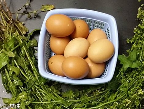 地菜花薺菜花煮雞蛋上午吃還是下午吃？