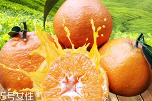 春見是什么水果？春見是丑八怪還是耙耙柑