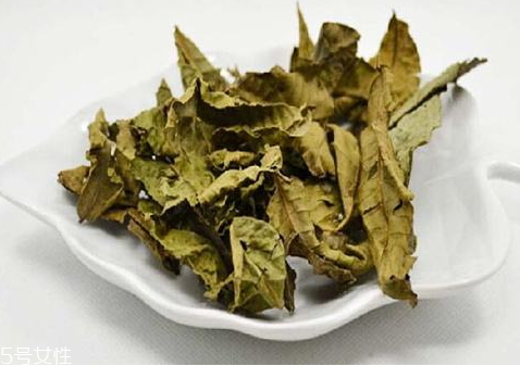 青錢柳茶哪里有賣 青錢柳茶怎么選購(gòu)