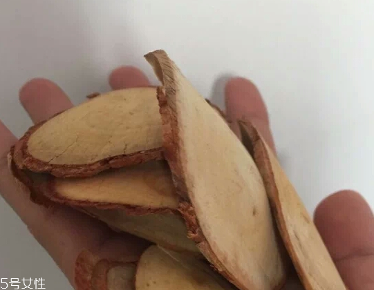 東革阿里是中藥嗎？東革阿里是什么？