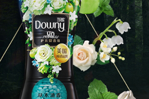 downy留香珠多少錢？當(dāng)妮留香珠一瓶容量