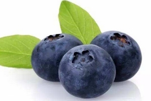 花青素是雌激素嗎？花青素是什么？