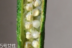 秋葵干好吃嗎？秋葵干怎么吃？