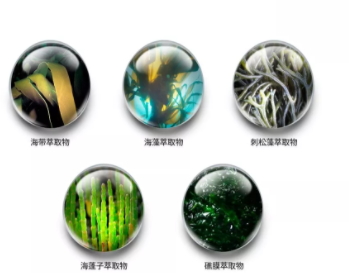 jm防曬噴霧孕婦可以用嗎？jmsolution防曬噴霧成分