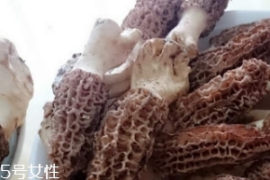 羊肚菌是什么東西？羊肚菌能吃嗎？