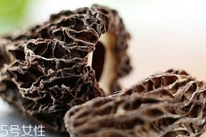 羊肚菌是什么顏色？羊肚菌是什么樣的