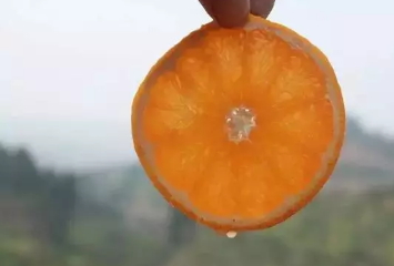 青見柑橘上火嗎？青見柑橘一天吃幾個好