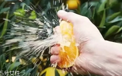 愛(ài)媛38號(hào)上市時(shí)間？愛(ài)媛38號(hào)什么時(shí)候成熟