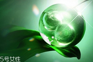 膏狀面膜好還是片狀面膜好？