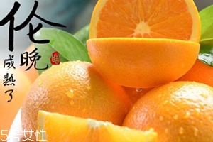 倫晚臍橙口感是酸的還是甜的？倫晚臍橙好吃嗎