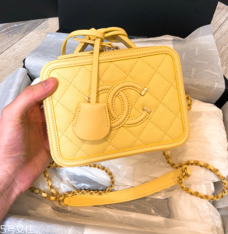 chanel相機包多少錢？香奈兒相機包價格