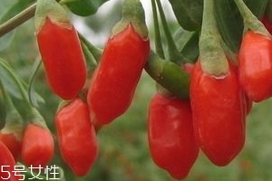 寧夏枸杞子多少錢一斤？寧夏枸杞價(jià)格
