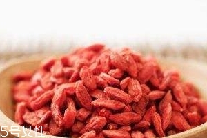 枸杞是哪個地方的特產(chǎn)？哪里產(chǎn)的枸杞好？