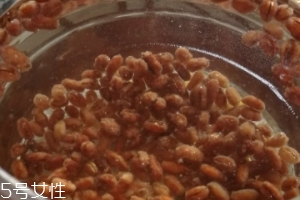 青稞茶的功效與作用 喝青稞茶的好處