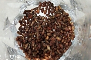 青稞茶怎么沖泡？青稞茶沖泡方法