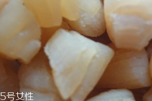 干貝是海鮮嗎？干貝是什么動物做的？