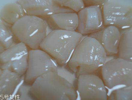 干貝是海鮮嗎？干貝是什么動物做的？