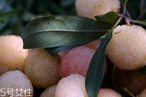 白楊梅好還是紅楊梅好吃？白楊梅和紅楊梅對比