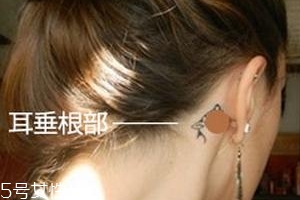 暈車貼貼哪里？暈車貼貼哪里示意圖