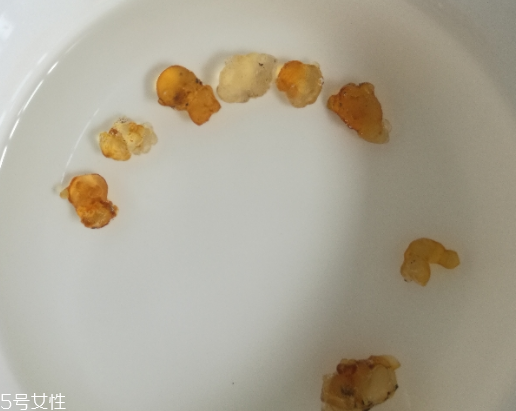 桃膠能和紅糖一起煮嗎？桃膠煮紅糖好嗎？