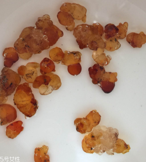 桃膠能治胃病嗎？胃病吃桃膠好嗎？