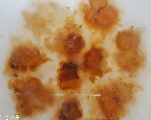 桃膠可以用開(kāi)水泡嗎？用開(kāi)水泡桃膠好嗎？
