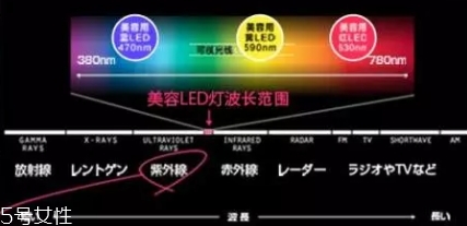 belulu大排燈怎么樣？belulu大排燈和exideal大排燈哪個(gè)好