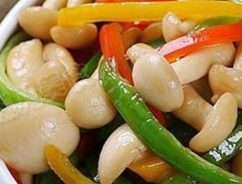 白玉菇怎么吃？白玉菇怎么做好吃